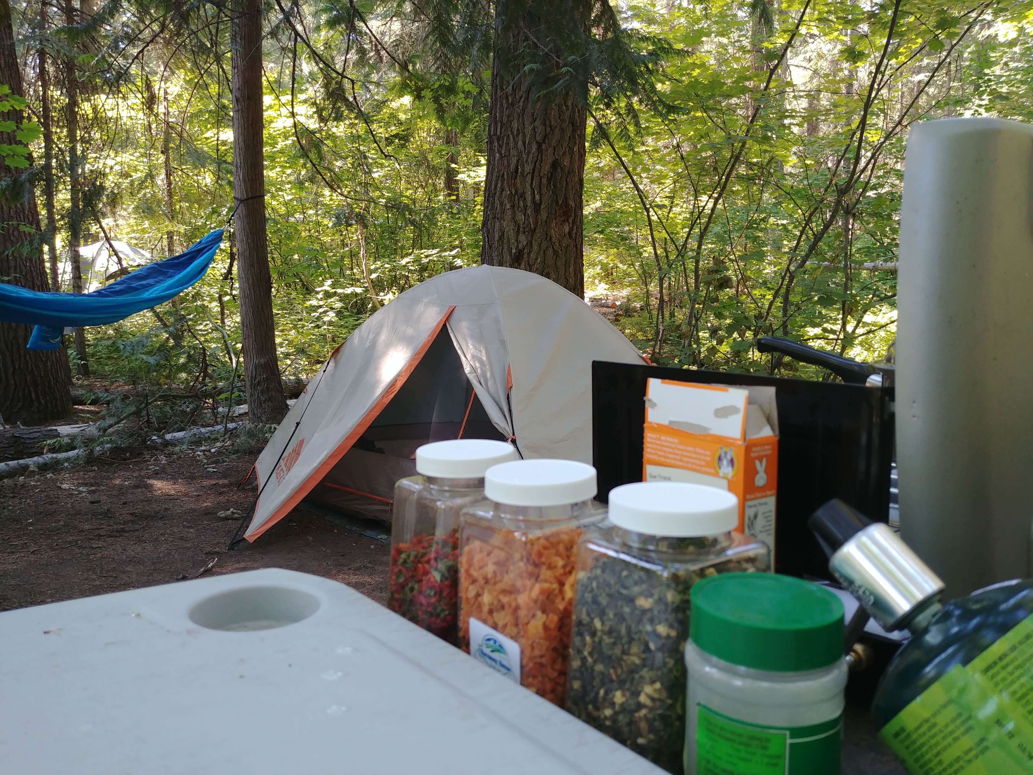 Camper submitted image from Nason Creek Campground - 4