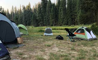 Lauren S.'s photo at Sequoia National Forest Quaking Aspen Campground near Camp Nelson, CA