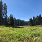 Review photo of Sequoia National Forest Quaking Aspen Campground by Lauren S., August 9, 2018