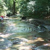 Review photo of Kentuck Campground — Ohiopyle State Park by Erin H., July 30, 2016