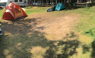 Amanda L.'s photo at Brower Park Campground in Michigan