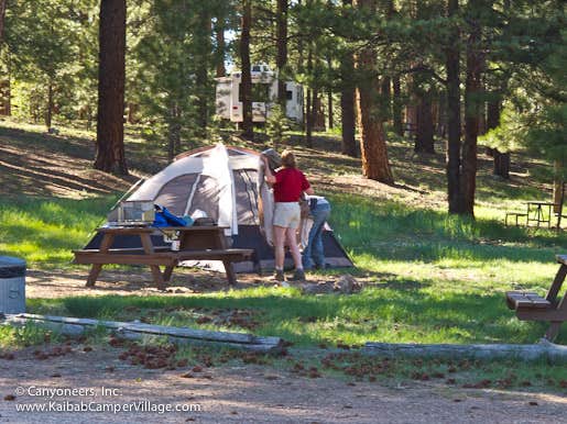 The Dyrt's photo at Kaibab Camper Village near Fredonia, AZ