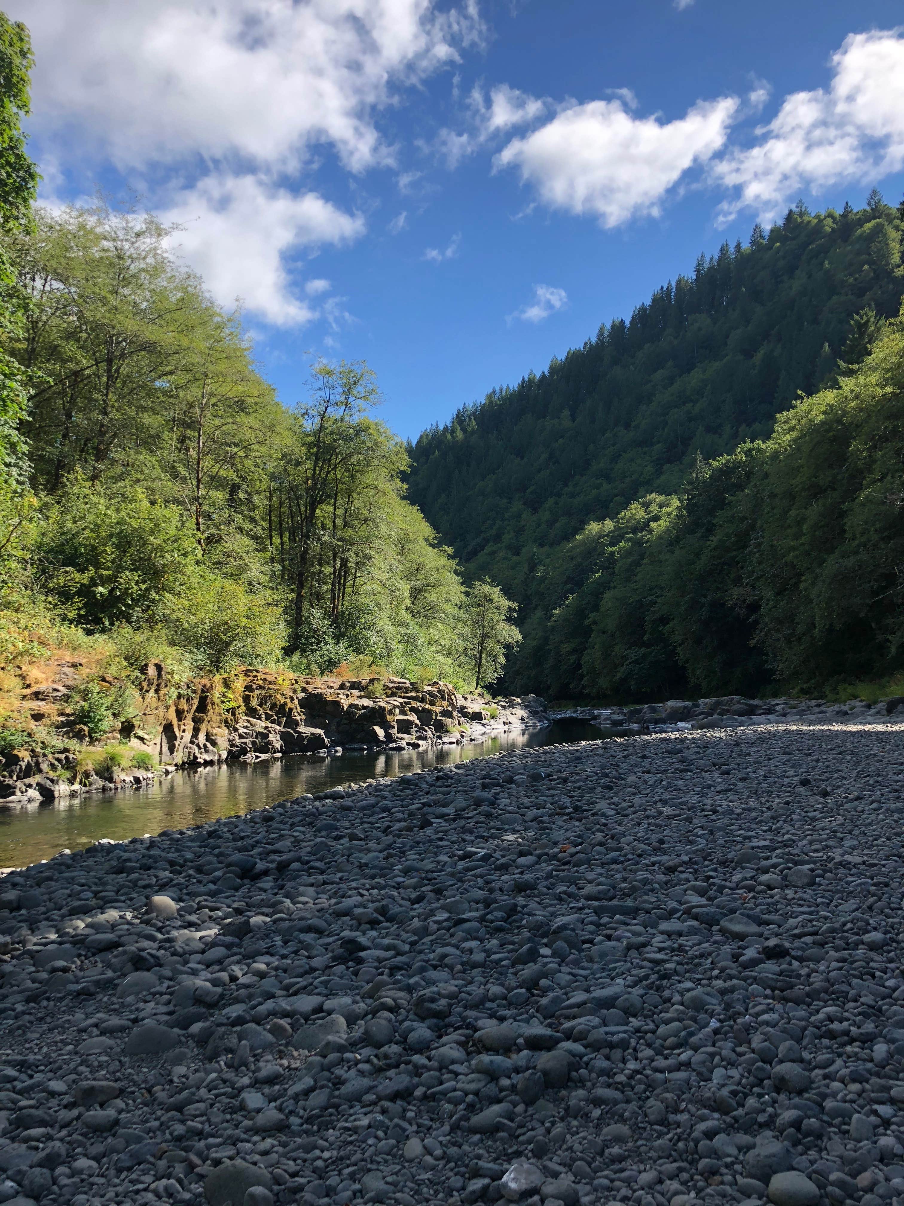 Camper-submitted photo at Keenig Creek Campground near Lafayette, OR