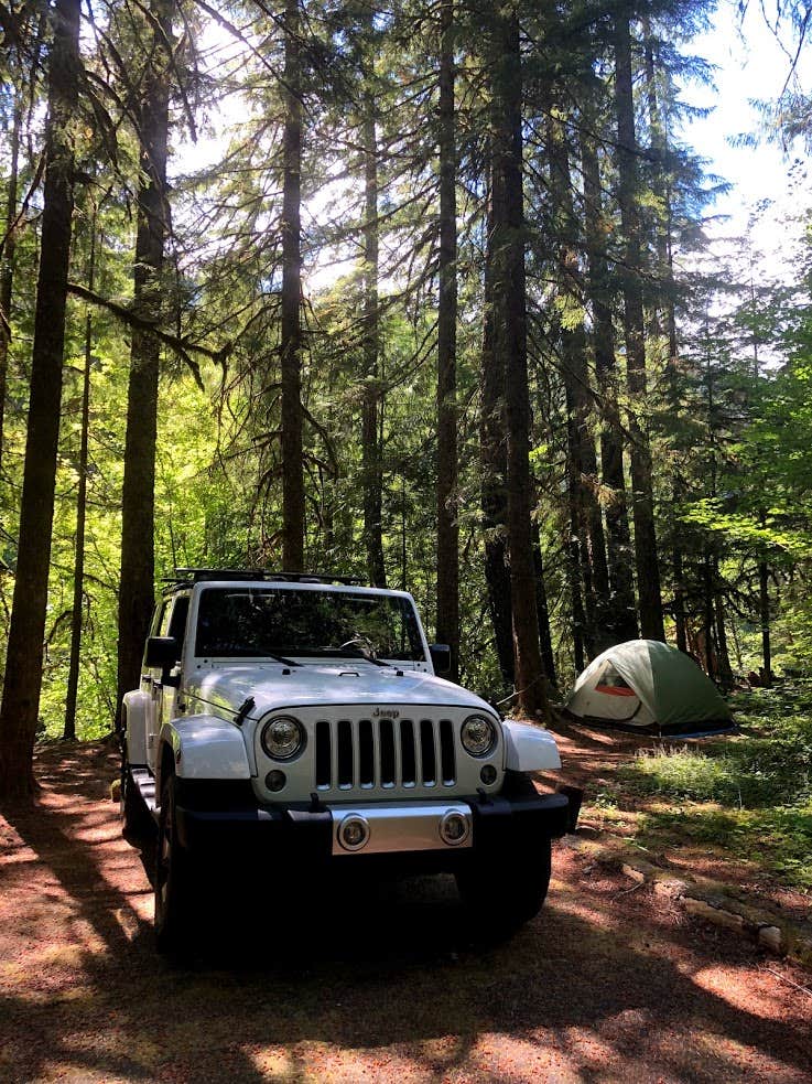 Camper submitted image from Riverside at Detroit Campground - 4