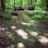 Review photo of Northern Lights Campground — Devils Lake State Park by Meg  S., June 23, 2015