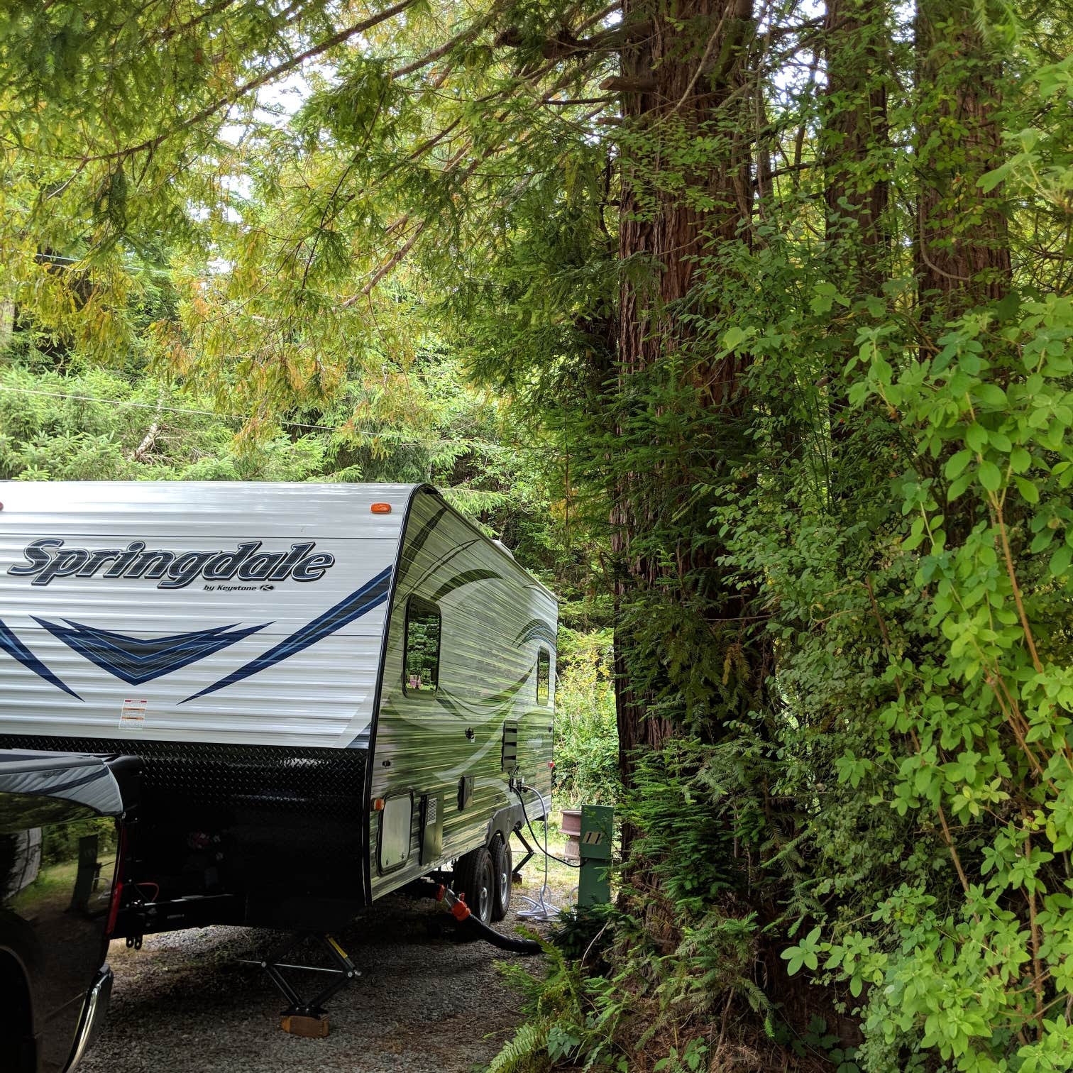 Kim R.'s photo at Mystic Forest RV Park near Klamath, CA