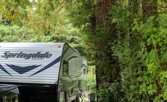 Kim R.'s photo at Mystic Forest Campground near Redwood National Park