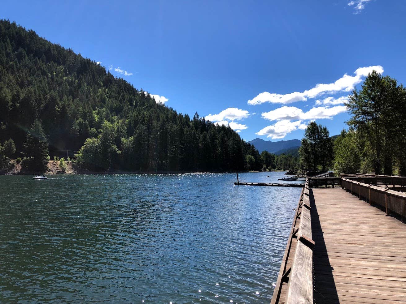 Camper submitted image from Hoover Campground - 4