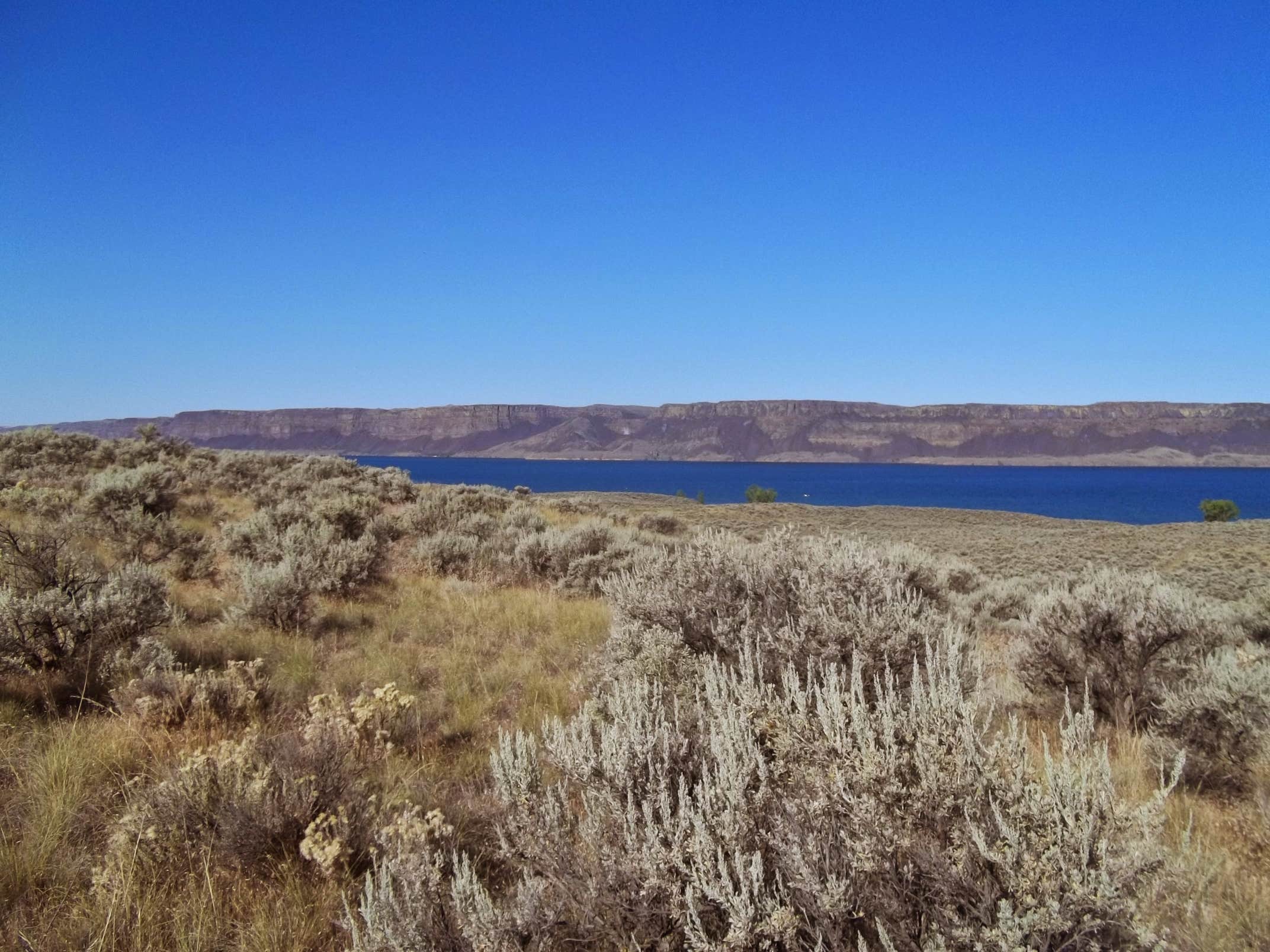 Camper-submitted photo at Bay Loop Campground — Steamboat Rock State Park near Hartline, WA