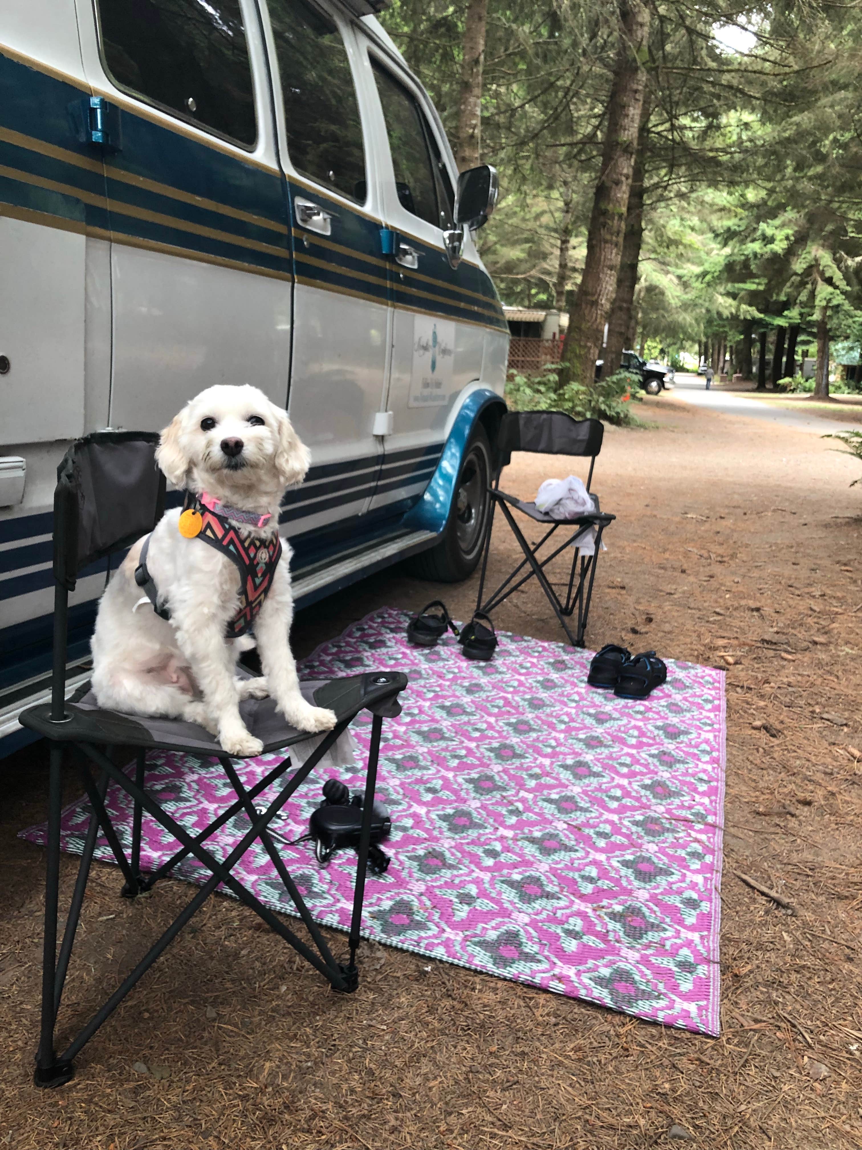 Renee R.'s photo of camping with pets at Elk Country RV Resort & Campground near Six Rivers National Forest