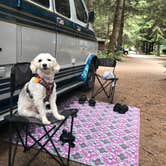 Review photo of Elk Country RV Resort & Campground by Renee R., August 9, 2018