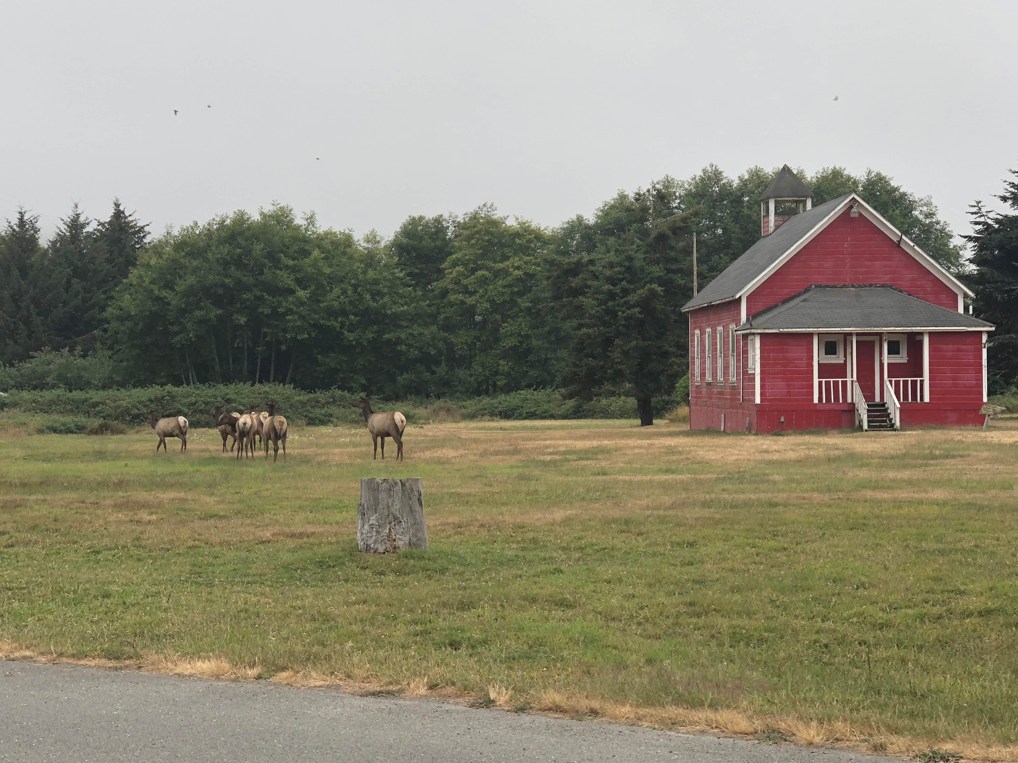 Camper-submitted photo at Elk Country RV Resort & Campground near Klamath, CA