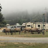 Review photo of Elk Country RV Resort & Campground by Renee R., August 9, 2018