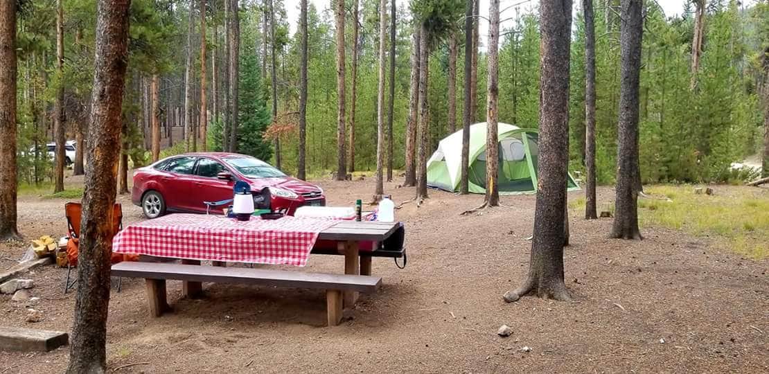 Camper submitted image from Elbert Creek Campground - 3
