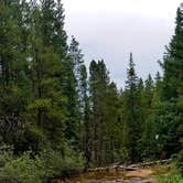 Review photo of Elbert Creek — Psicc by Glenna L., August 9, 2018