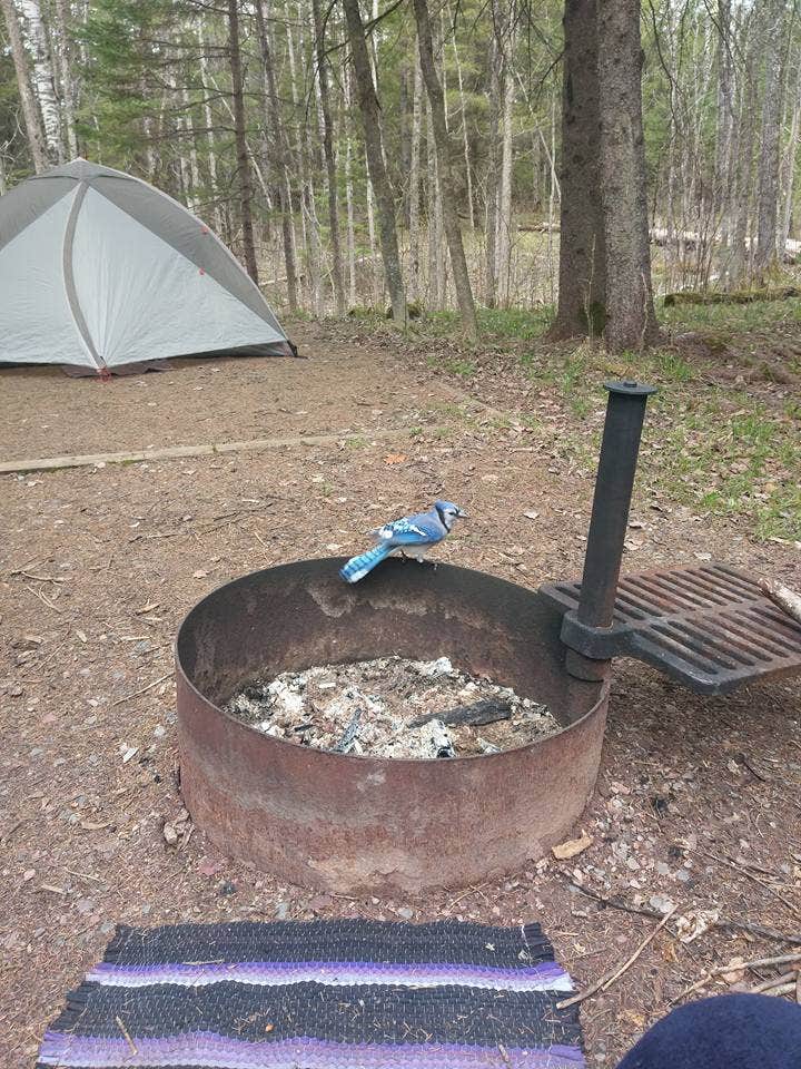 Jay Cooke State Park Campground