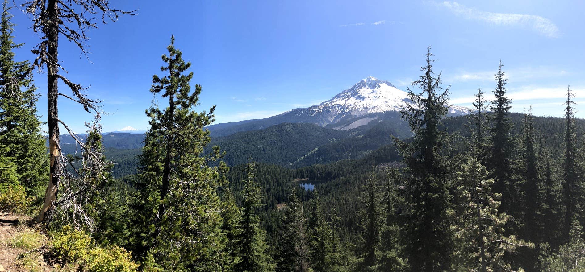 Camper-submitted photo at Burnt Lake near Corbett, OR