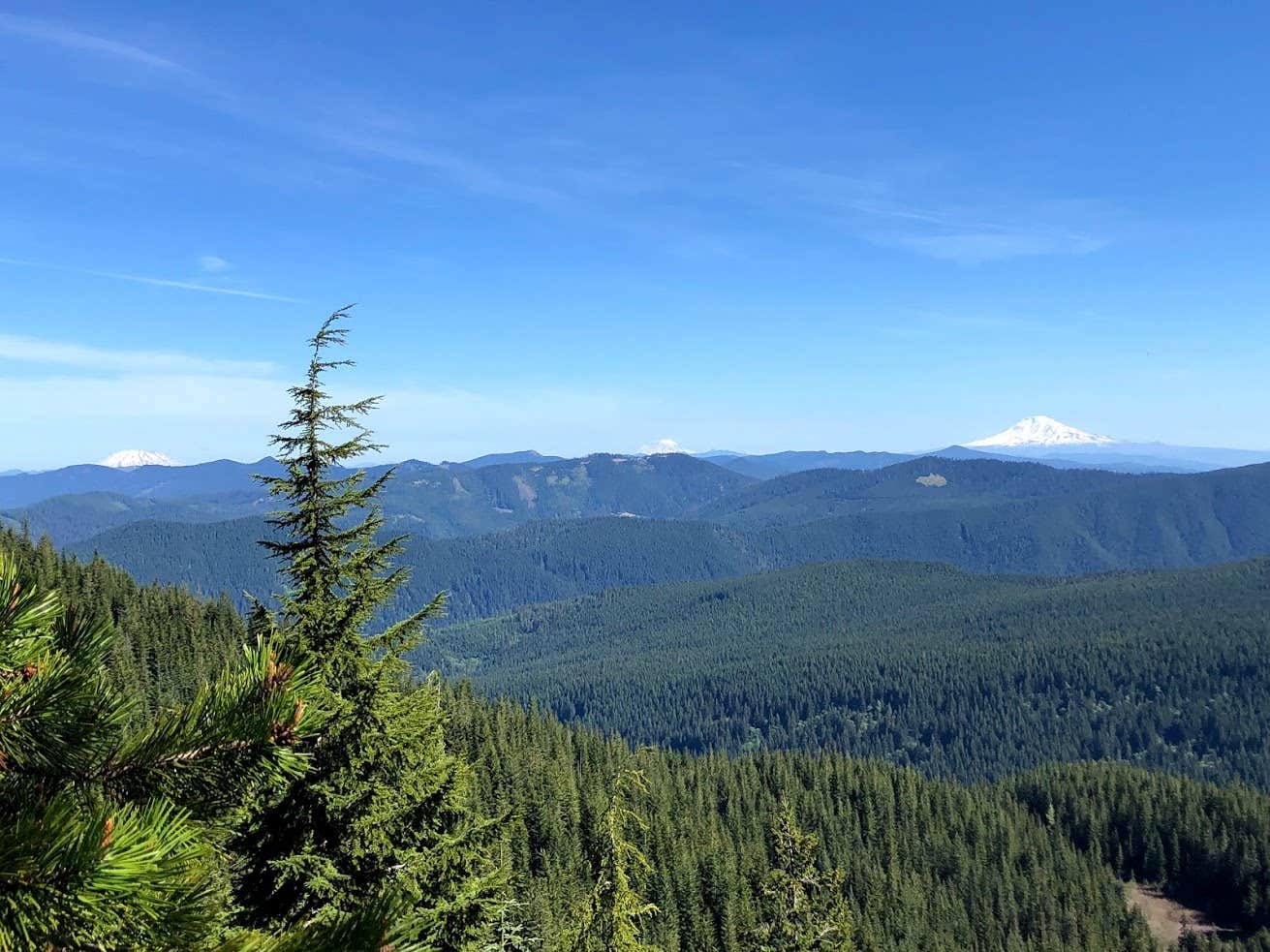 Camper-submitted photo at Burnt Lake near Corbett, OR
