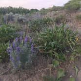 Review photo of Sage Loop Campground — Steamboat Rock State Park by Kelsey M., August 9, 2018