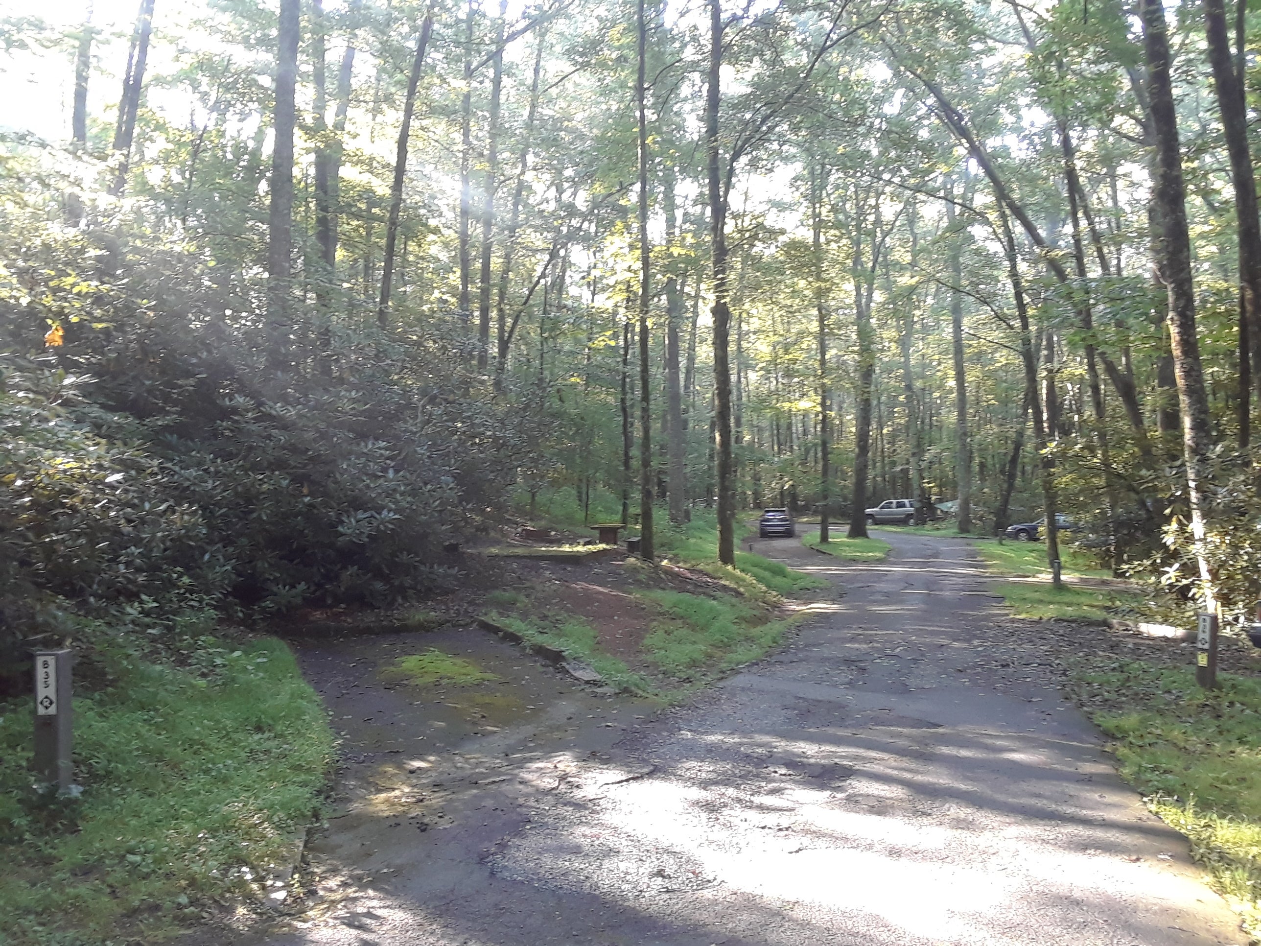 Camper submitted image from Julian Price Park Campground — Blue Ridge Parkway - 3