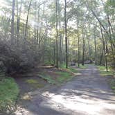 Review photo of Julian Price Park Campground — Blue Ridge Parkway by Robert R., August 9, 2018