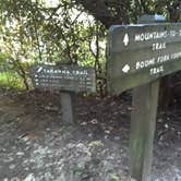 Review photo of Julian Price Park Campground — Blue Ridge Parkway by Robert R., August 9, 2018