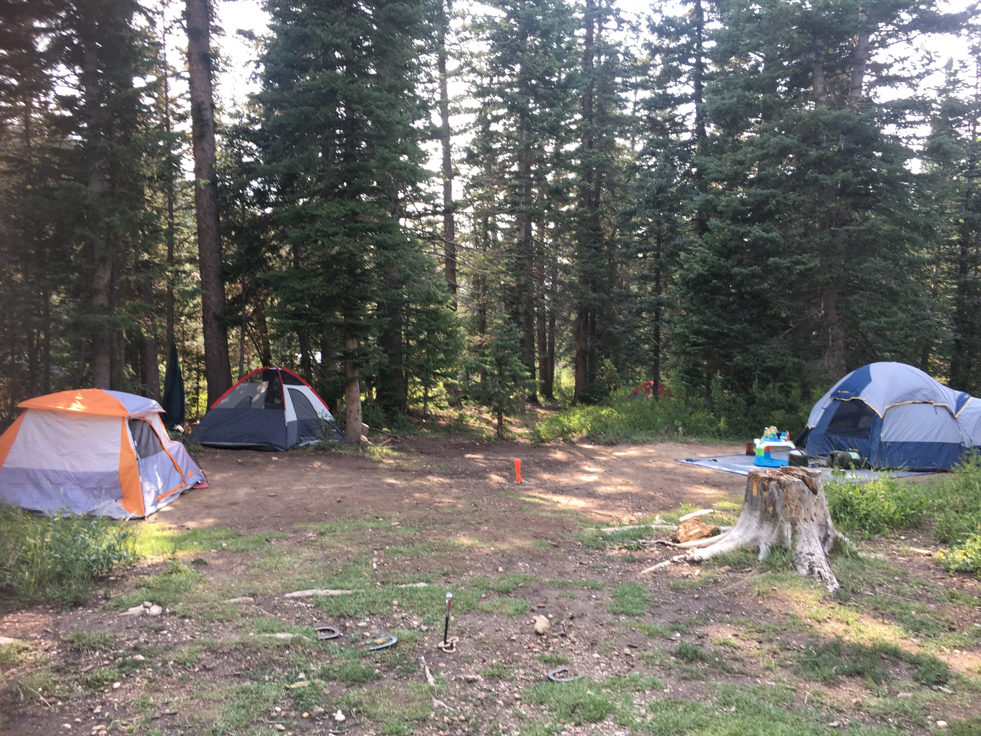 Camper submitted image from Cedar Canyon - 5