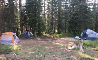 Rose B.'s photo at Cedar Canyon near Parowan, UT