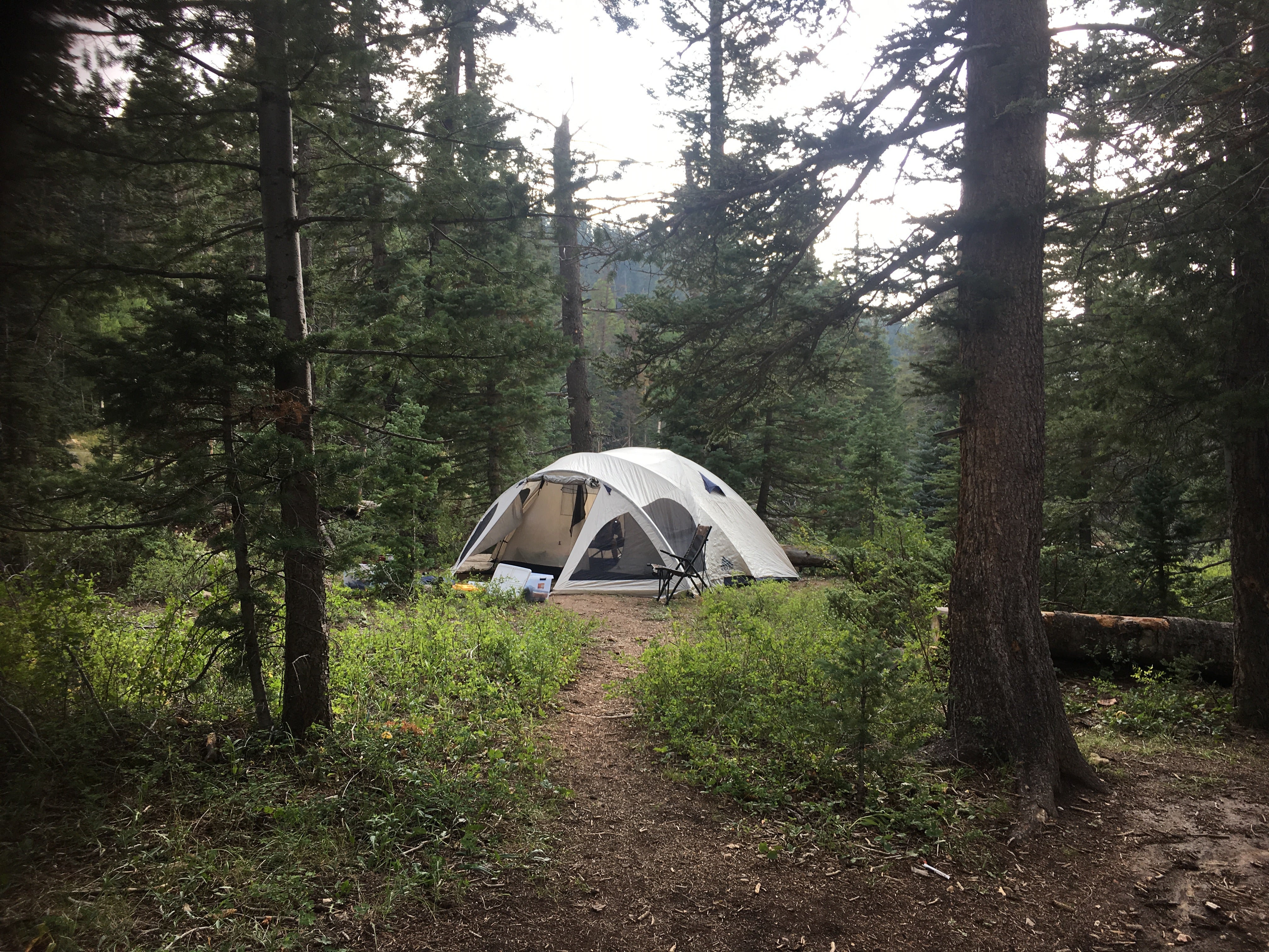 Camper submitted image from Cedar Canyon - 4