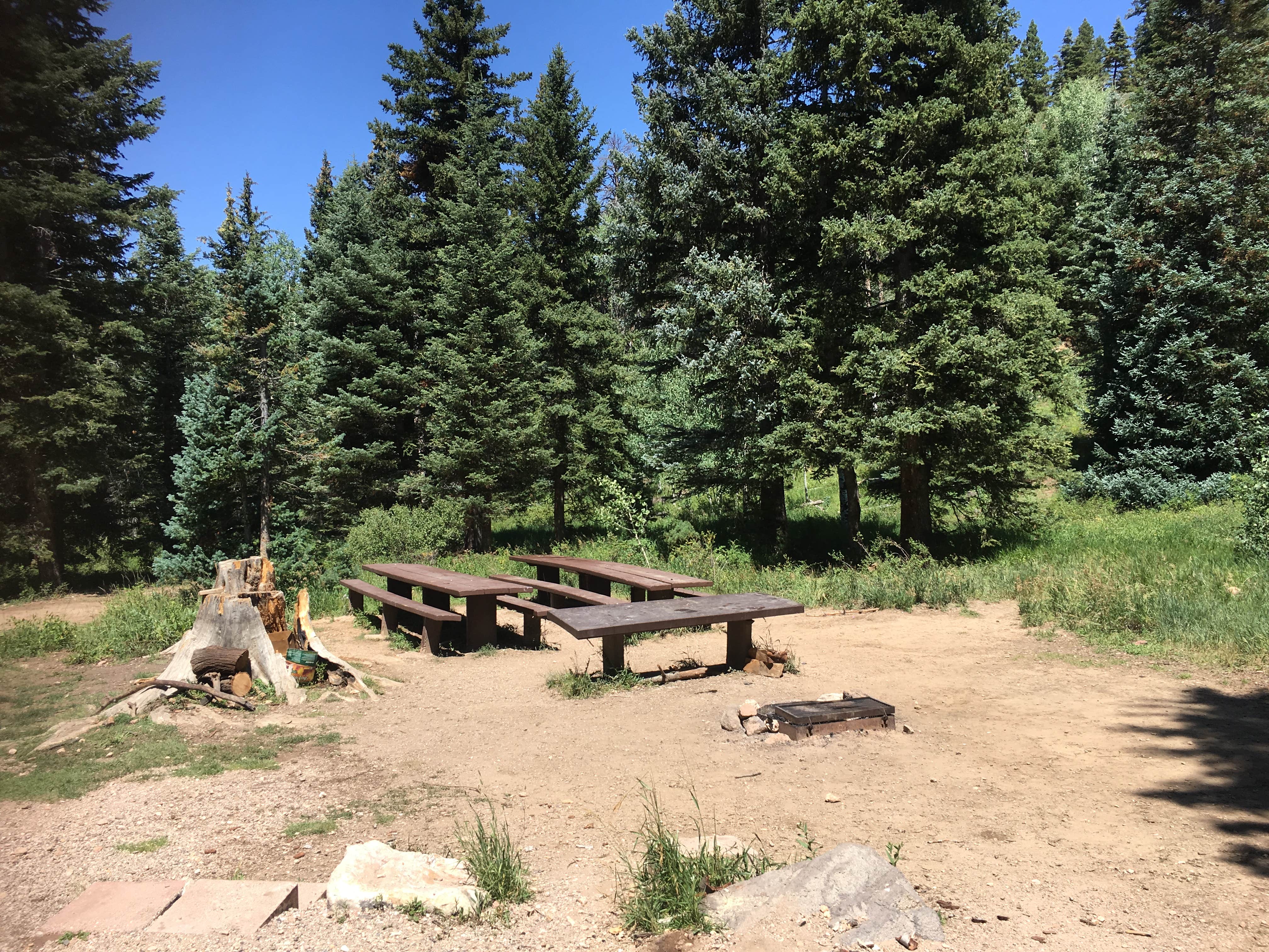 Camper submitted image from Cedar Canyon - 4