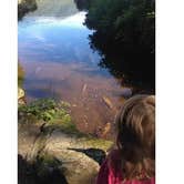 Review photo of Signal Creek Campground by Shawna M., July 30, 2016