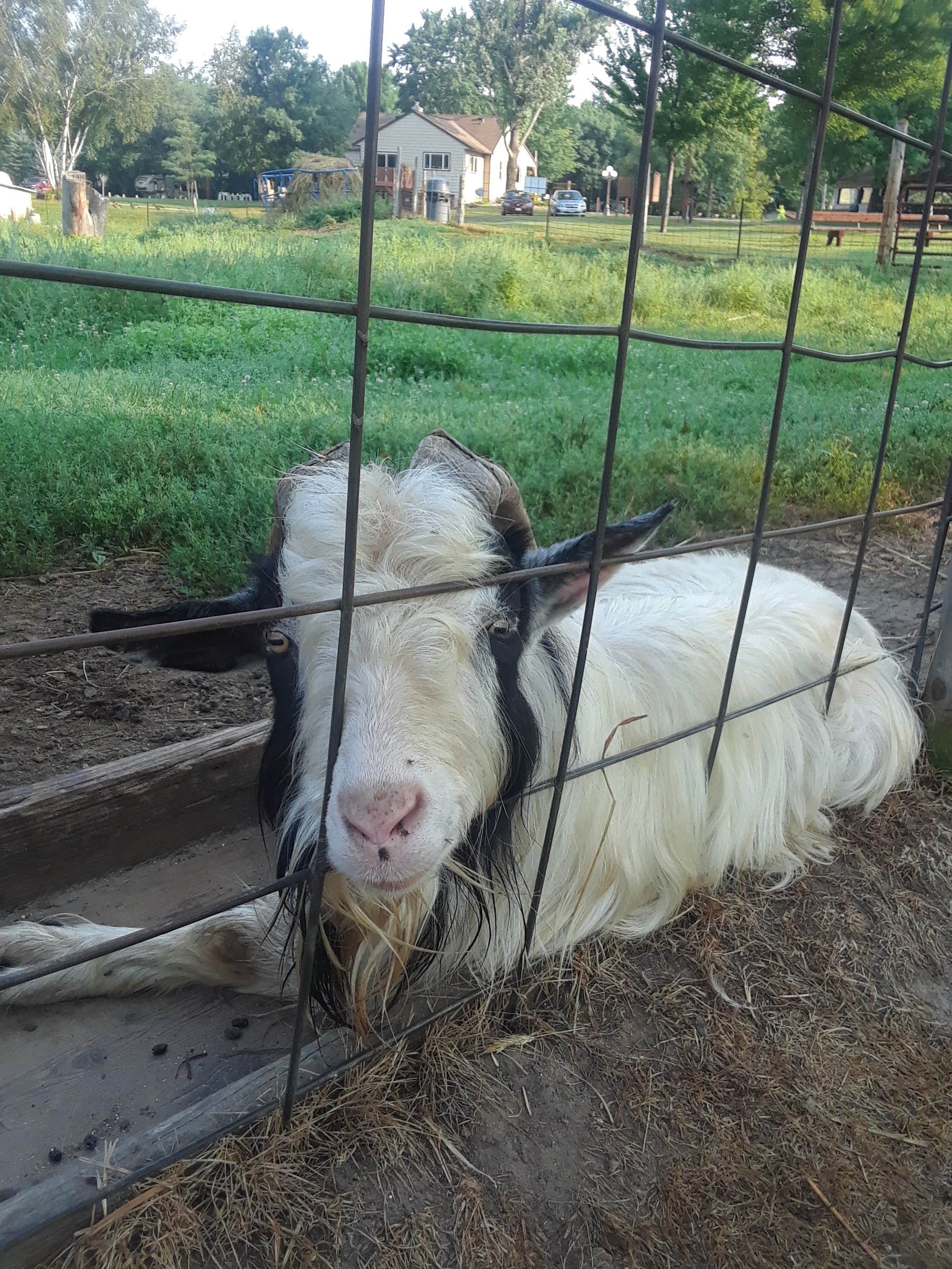 this guy was so sweet!