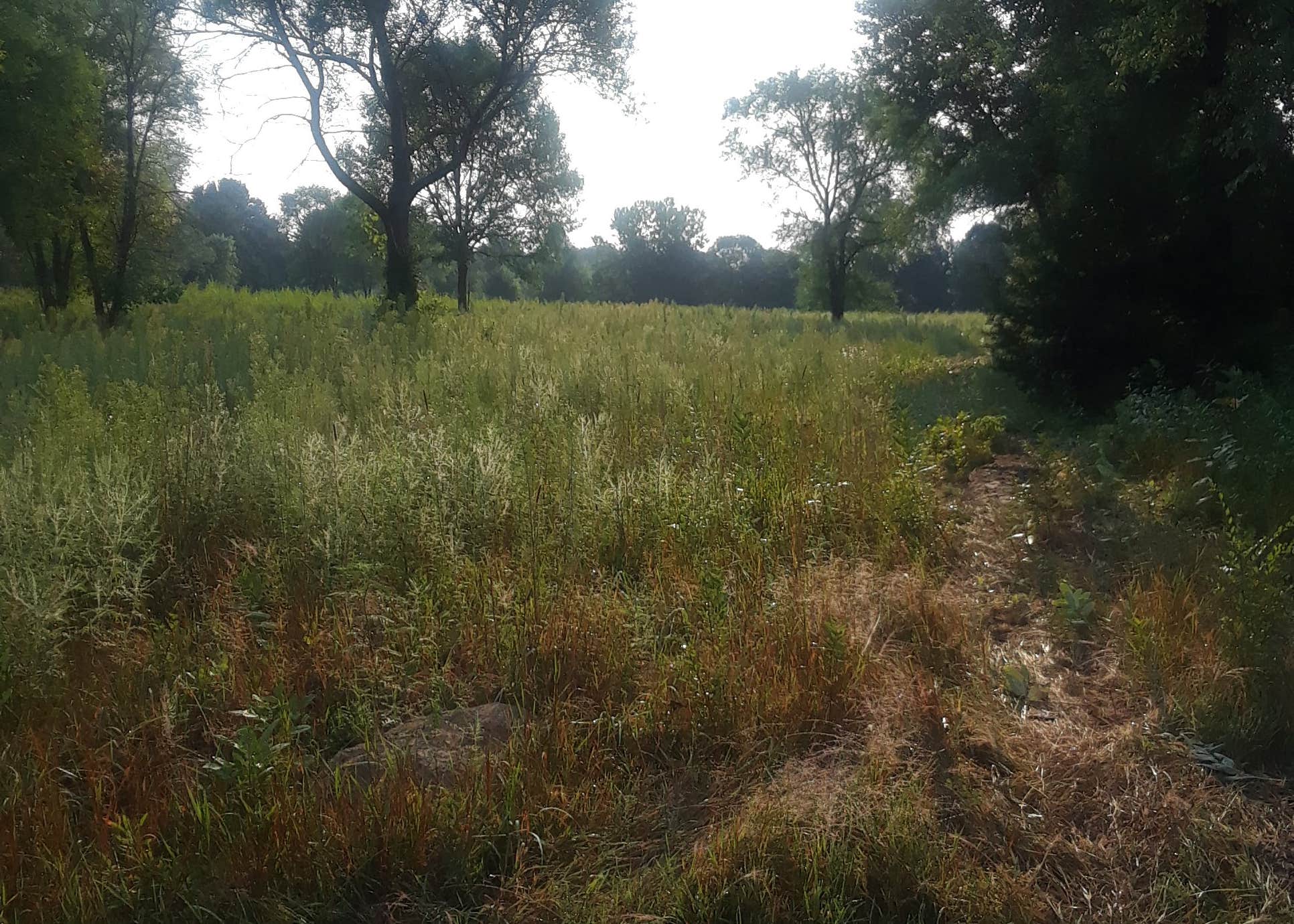 Ham Lake Campground Camping The Dyrt