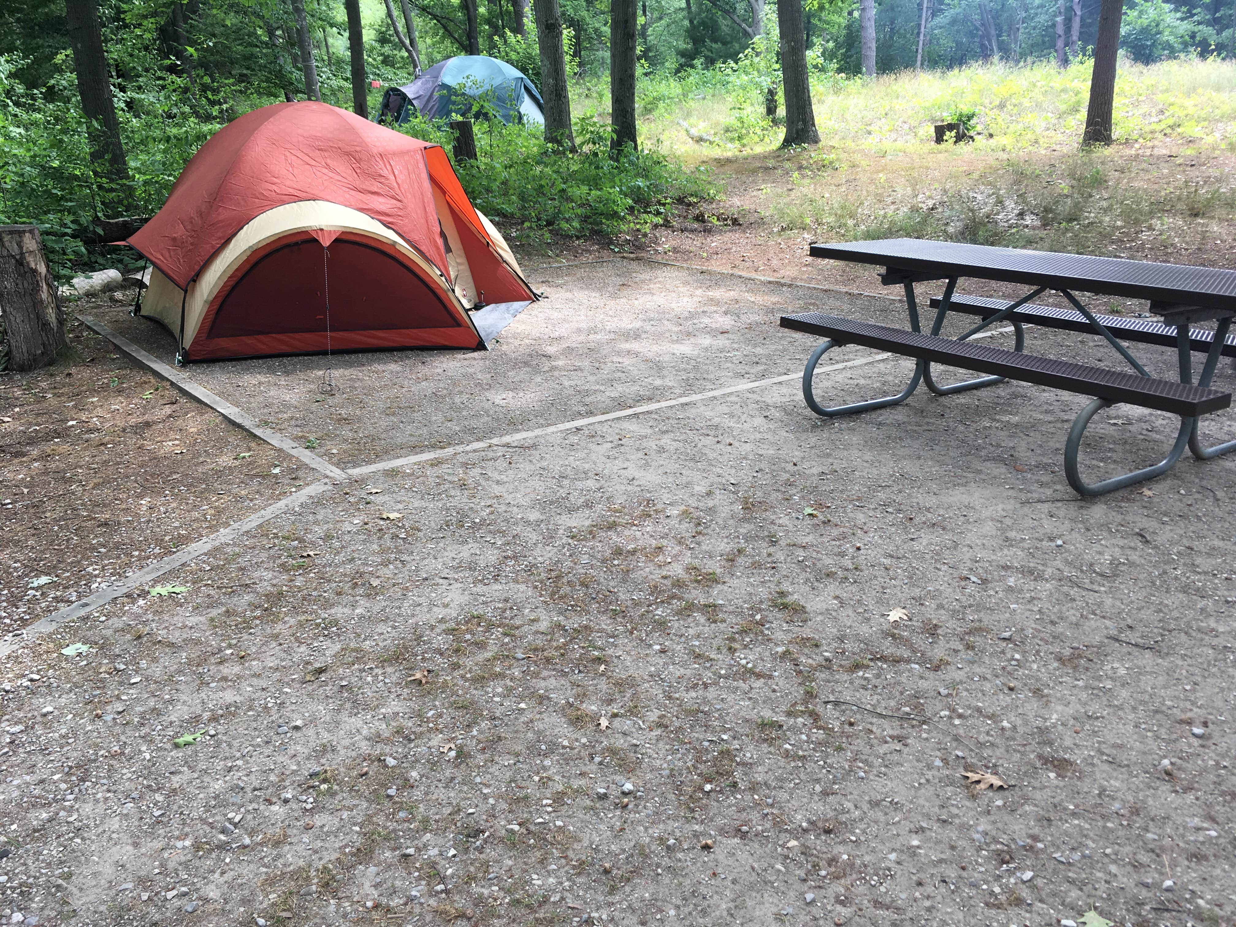 Amanda L.'s photo at D.H. Day Campground — Sleeping Bear Dunes National Lakeshore near Sleeping Bear Dunes