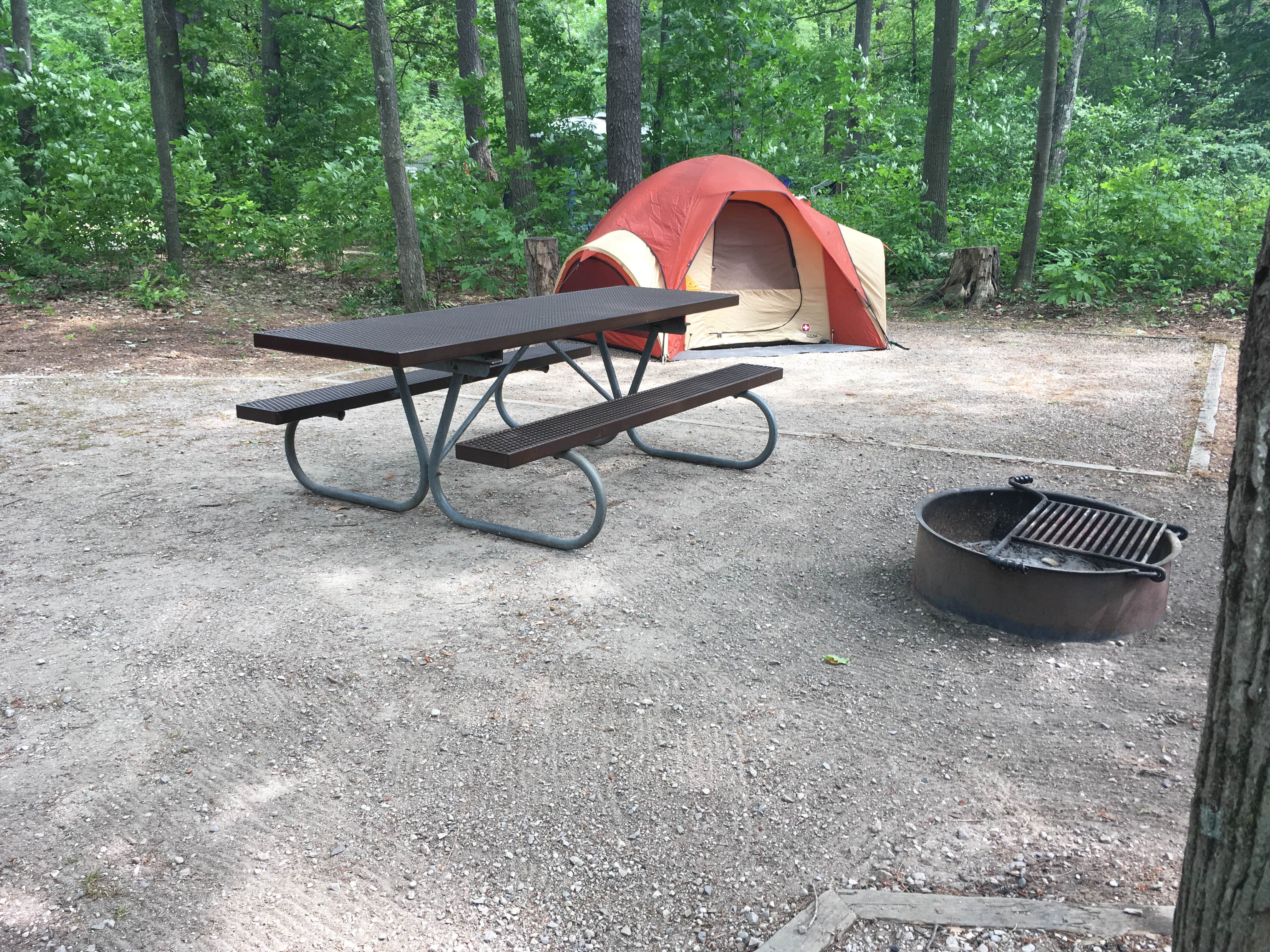 Amanda L.'s photo at D.H. Day Campground — Sleeping Bear Dunes National Lakeshore near Cedar, MI