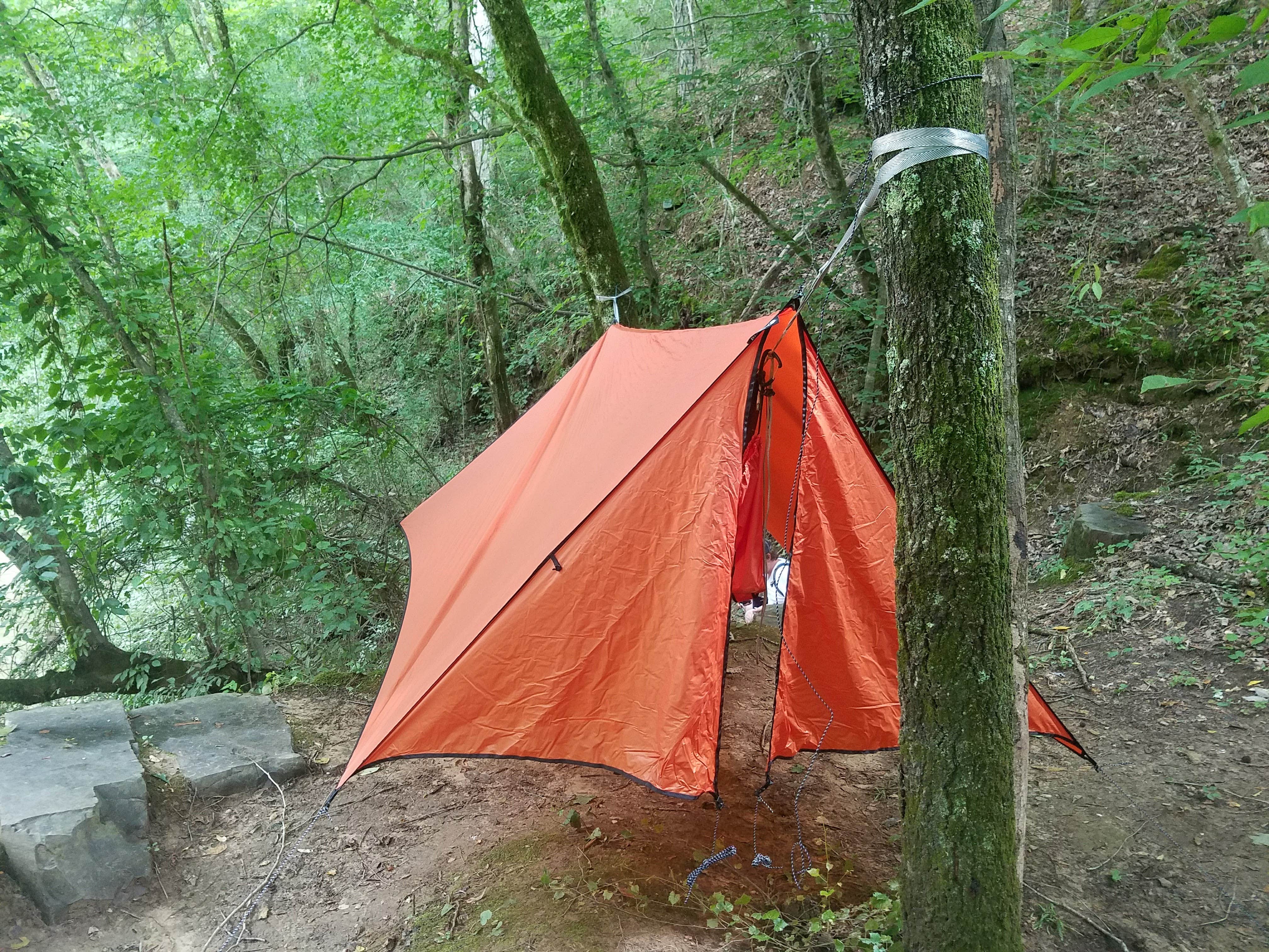 Camper submitted image from Pocket Campground — Chattahoochee Oconee National Forest - 4