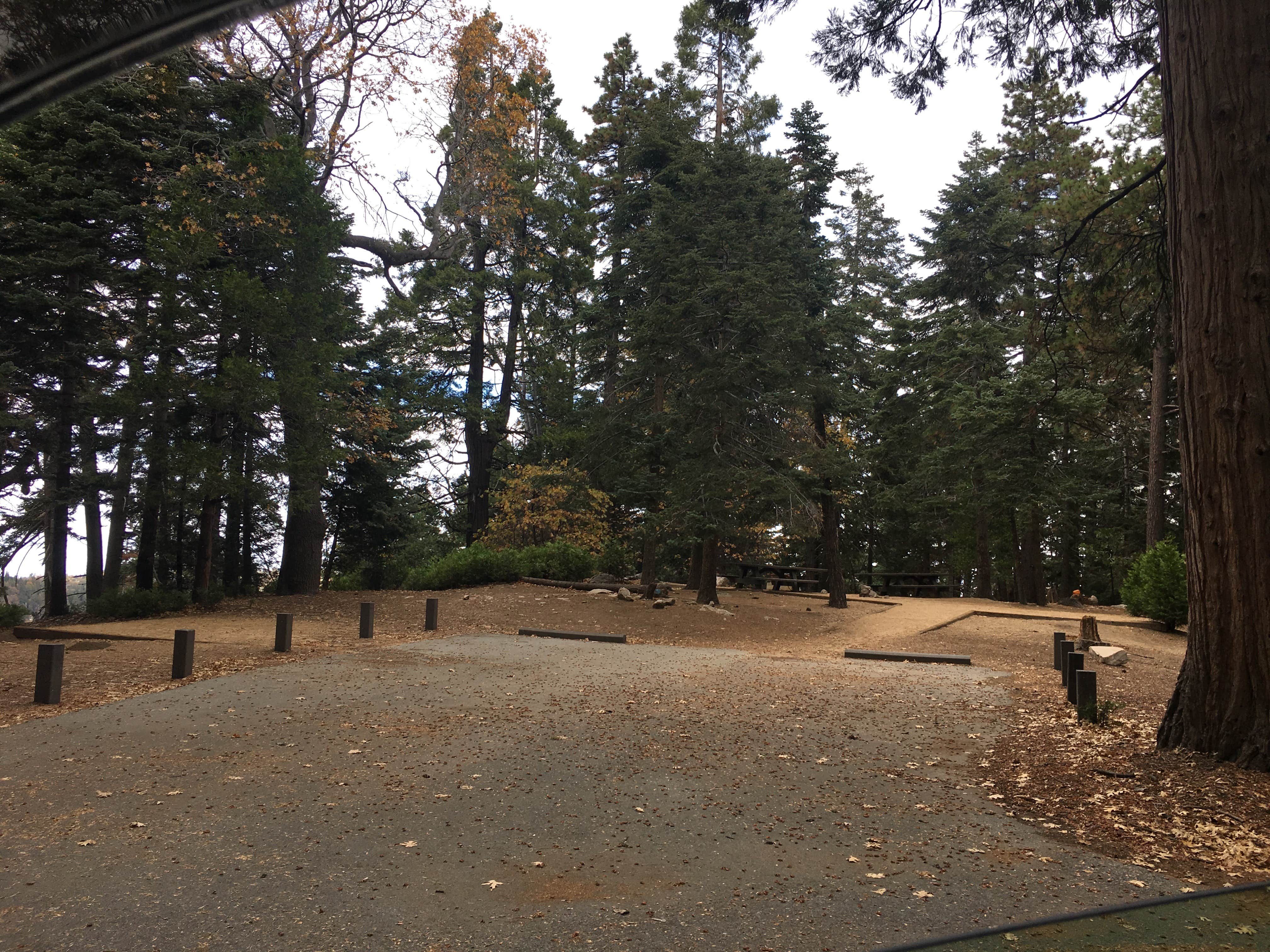 Camper-submitted photo at Dogwood near Colton, CA