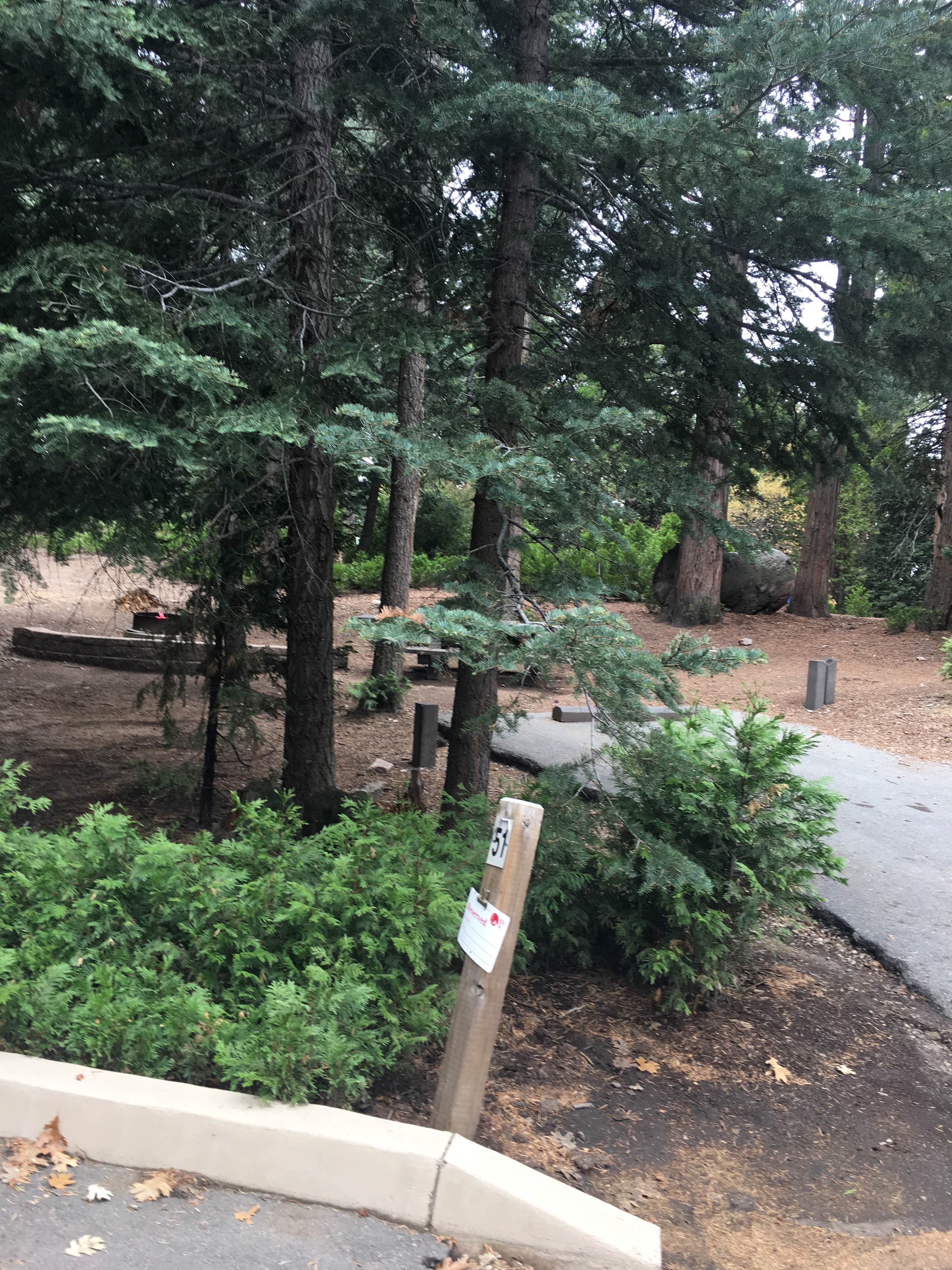 Camper-submitted photo at Dogwood near Colton, CA