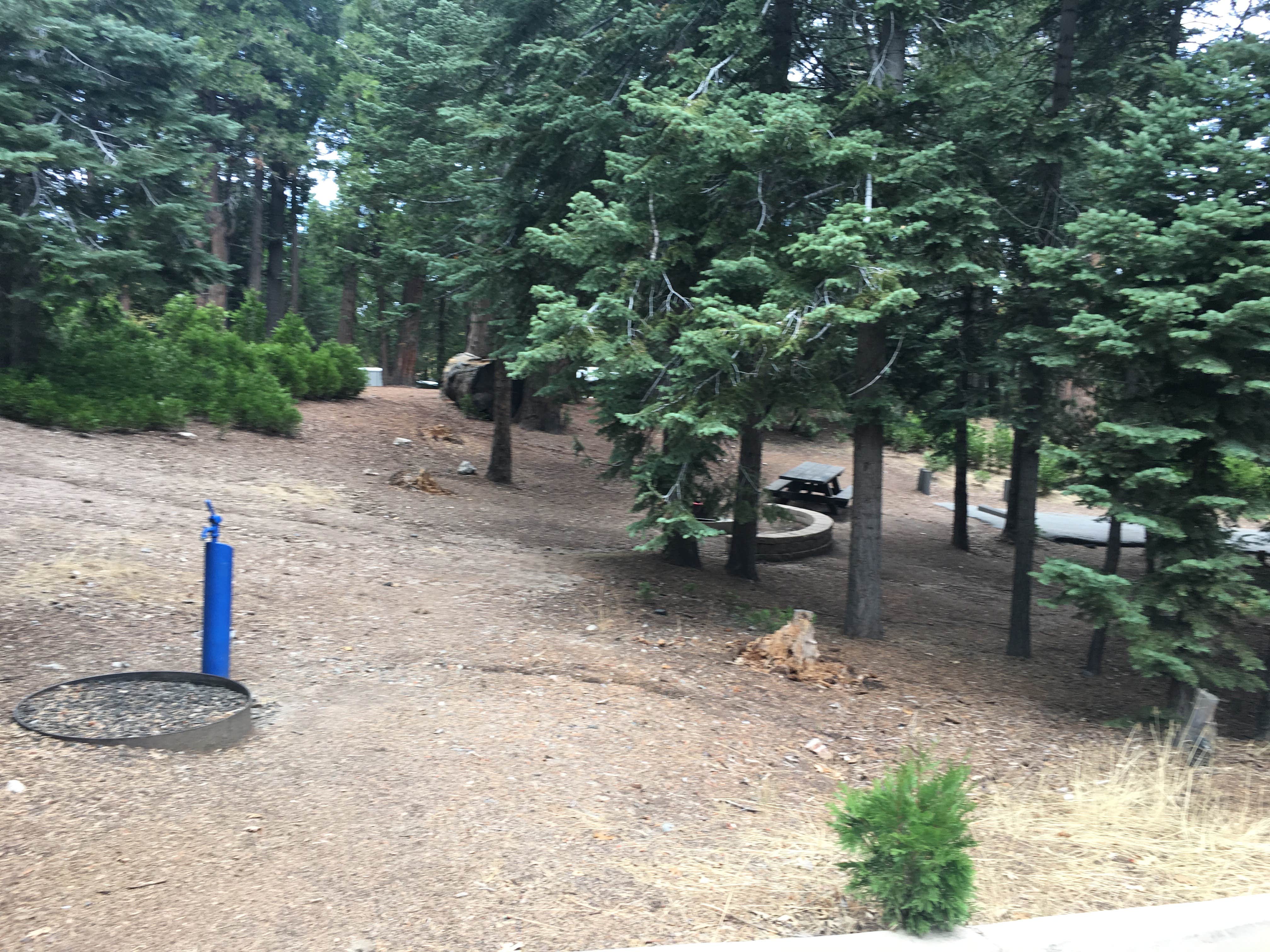 Camper-submitted photo at Dogwood near Colton, CA