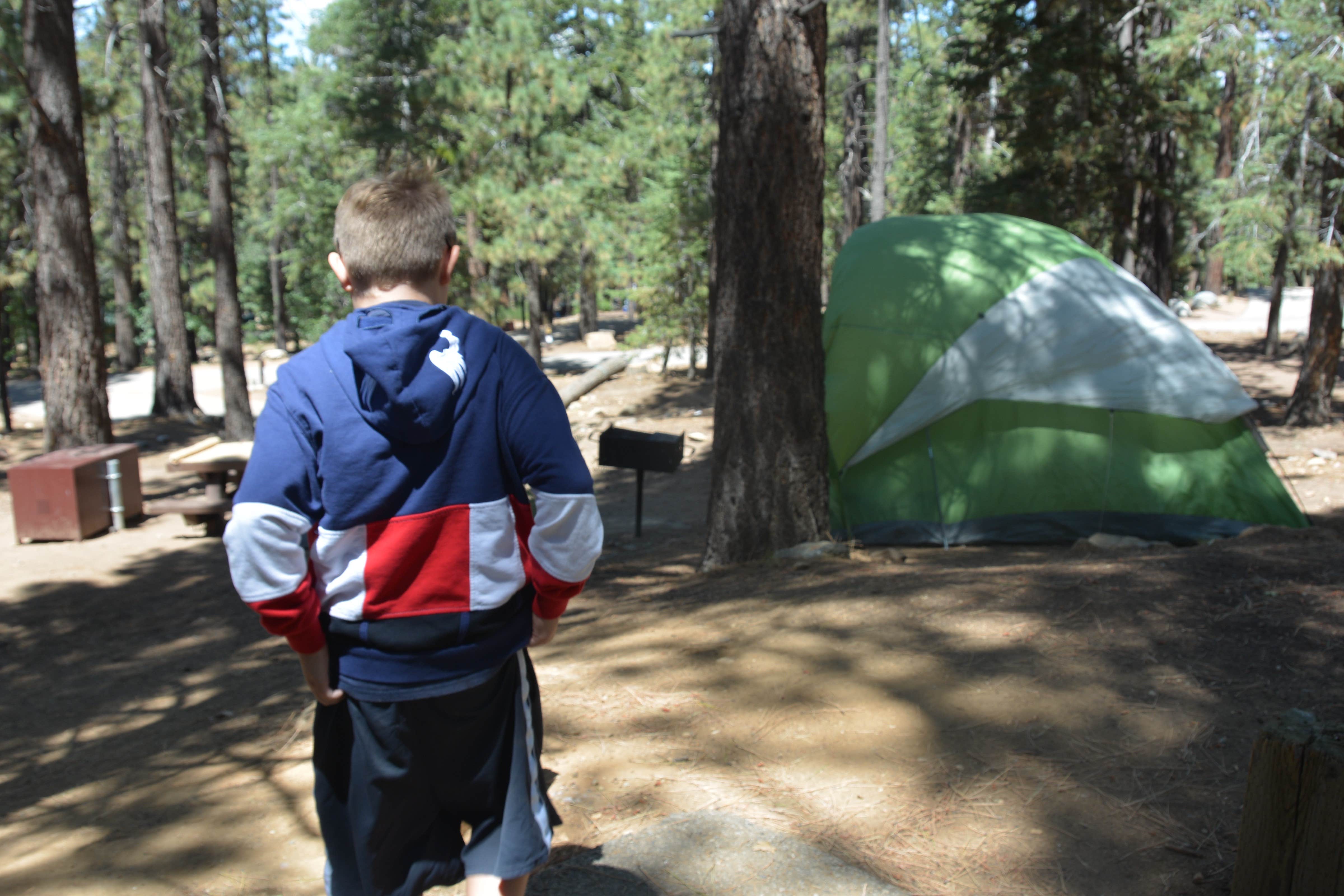 Rose B.'s photo at Pineknot near Big Bear City, CA