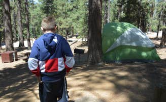 Rose B.'s photo at Pineknot near Big Bear Lake, CA