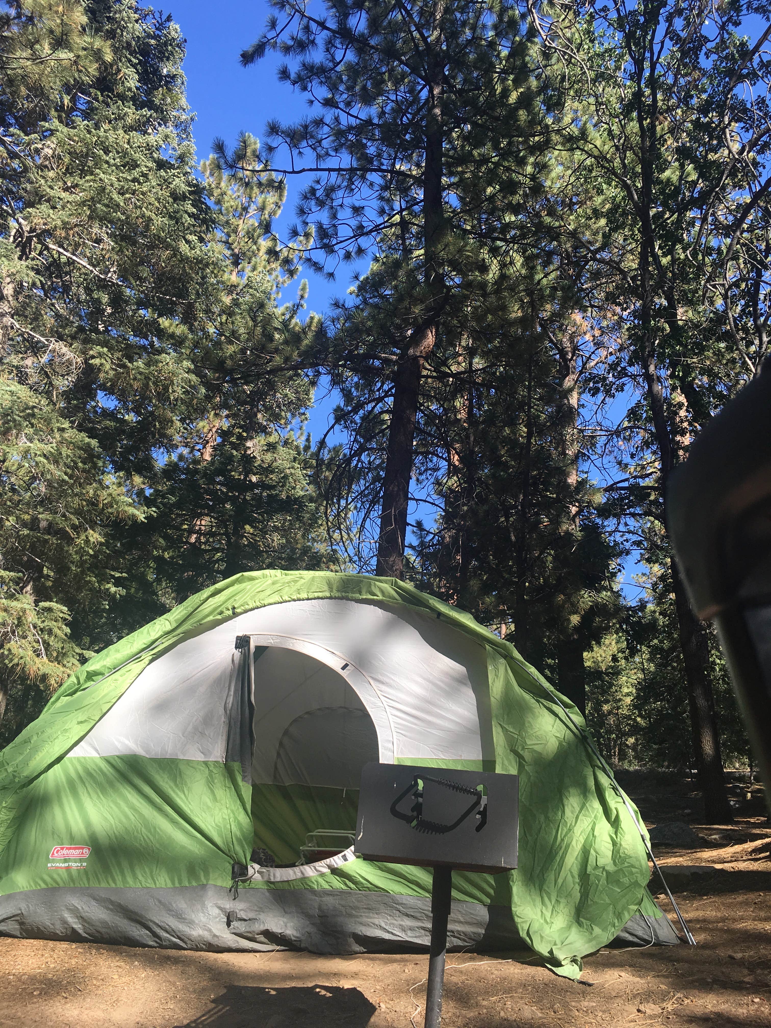 Rose B.'s photo at Pineknot near Fawnskin, CA