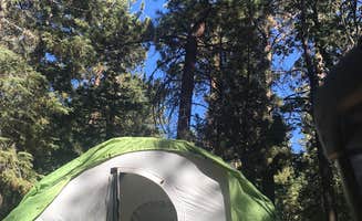 Rose B.'s photo at Pineknot near Fawnskin, CA