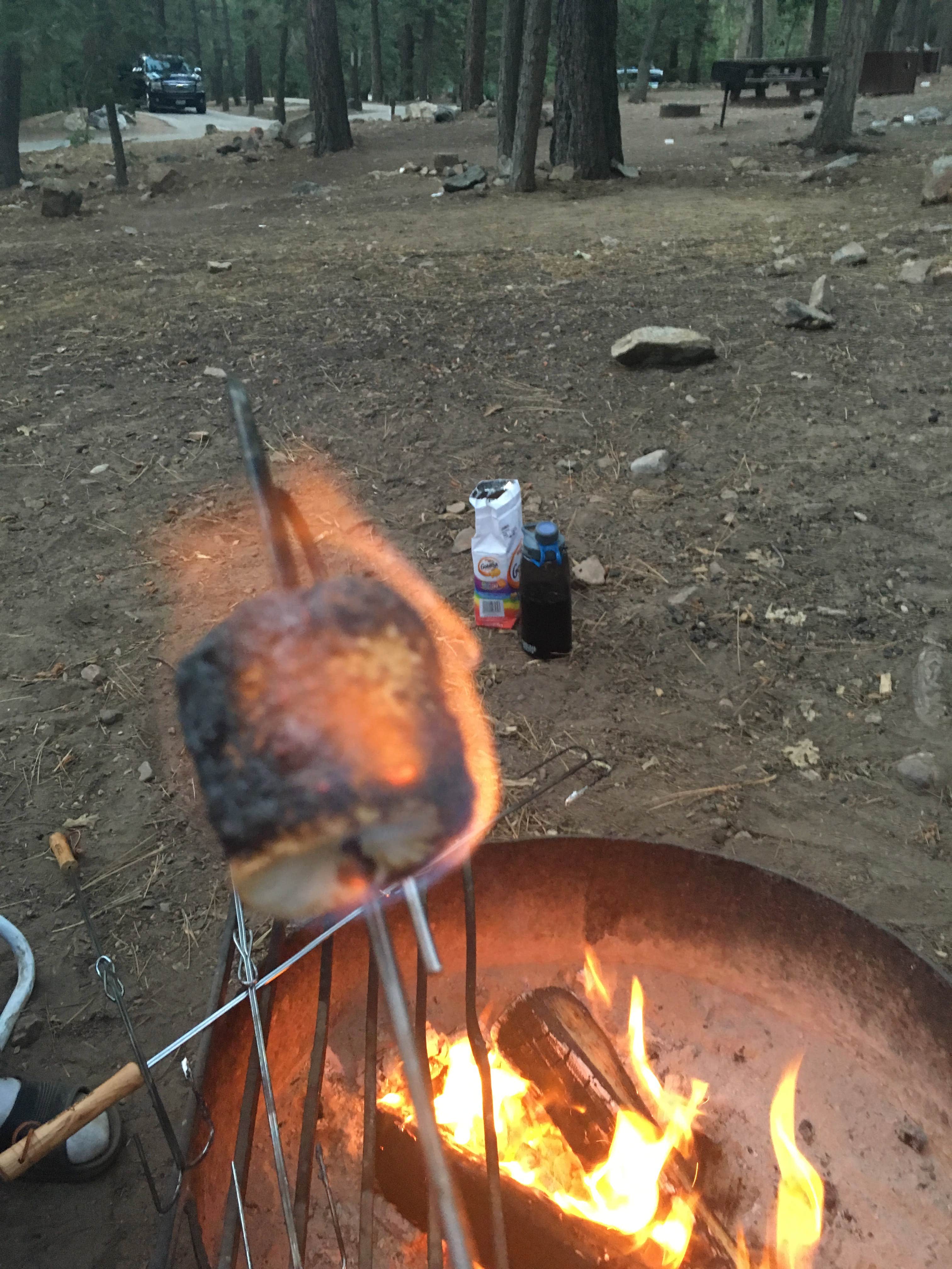 Rose B.'s photo at Pineknot near Big Bear City, CA