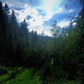 Review photo of Swan Lake Campground by Carla S., July 30, 2016