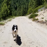 Review photo of Big Dog Valley by Jake H., August 10, 2018