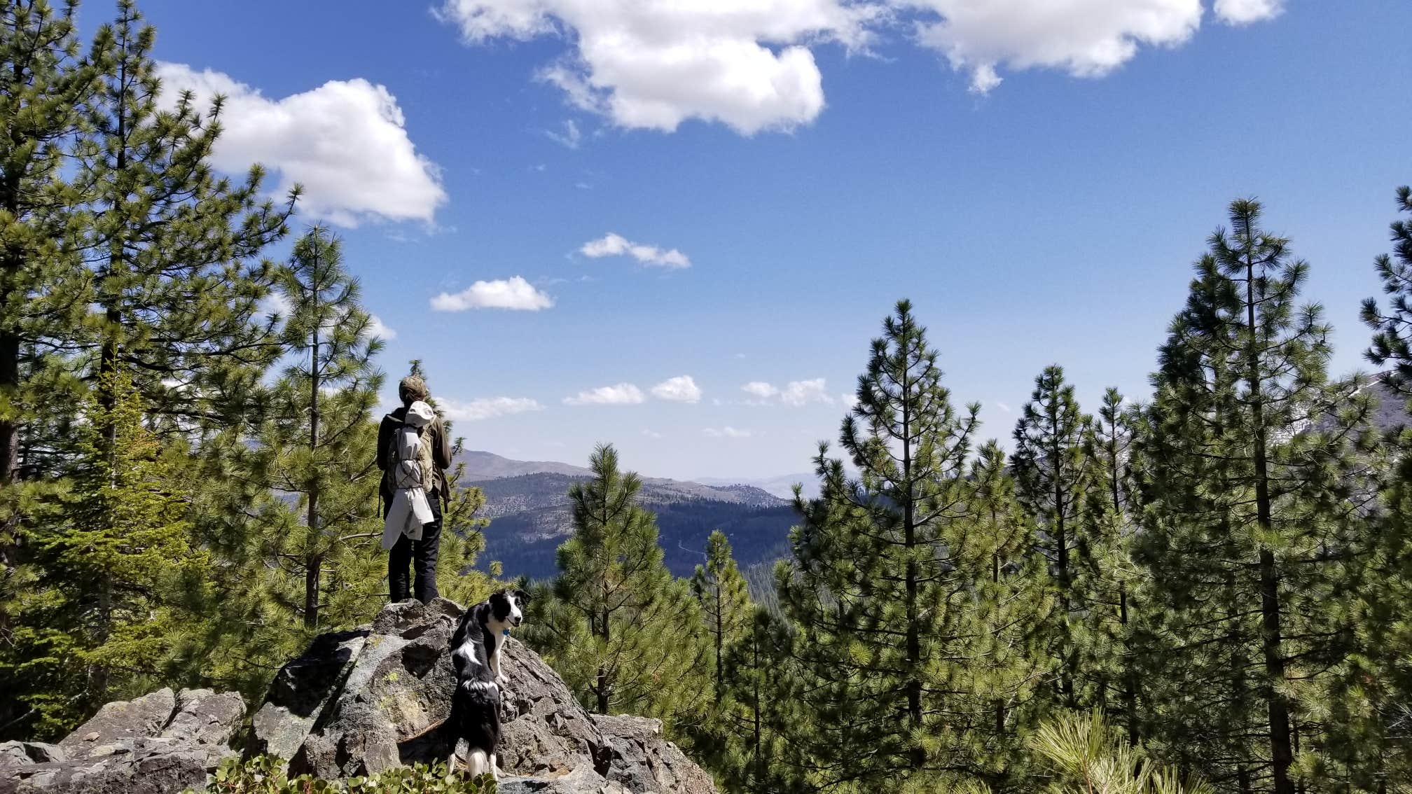 Camper-submitted photo at Big Dog Valley near Loyalton, CA