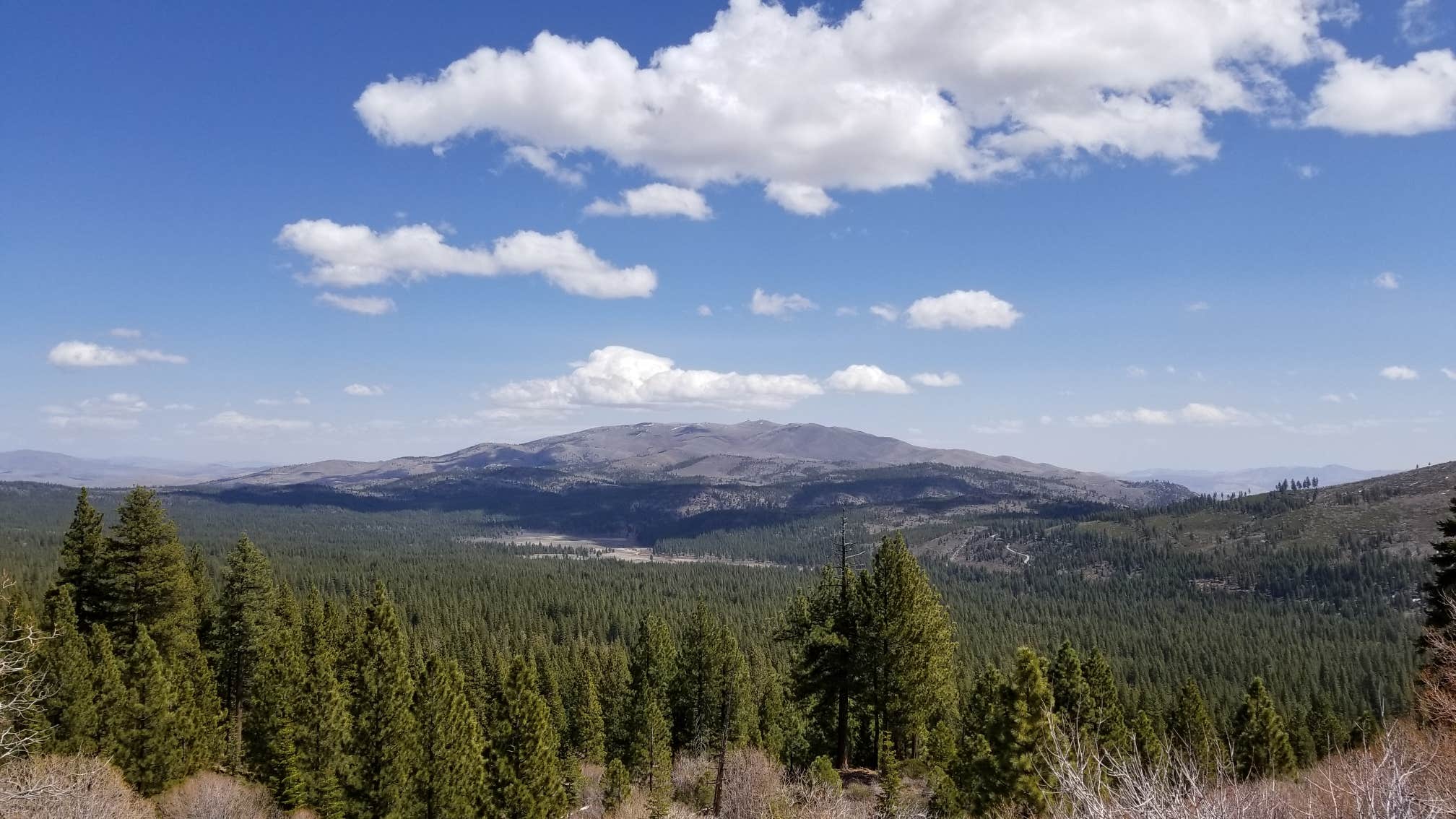 Camper-submitted photo at Big Dog Valley near Clio, CA
