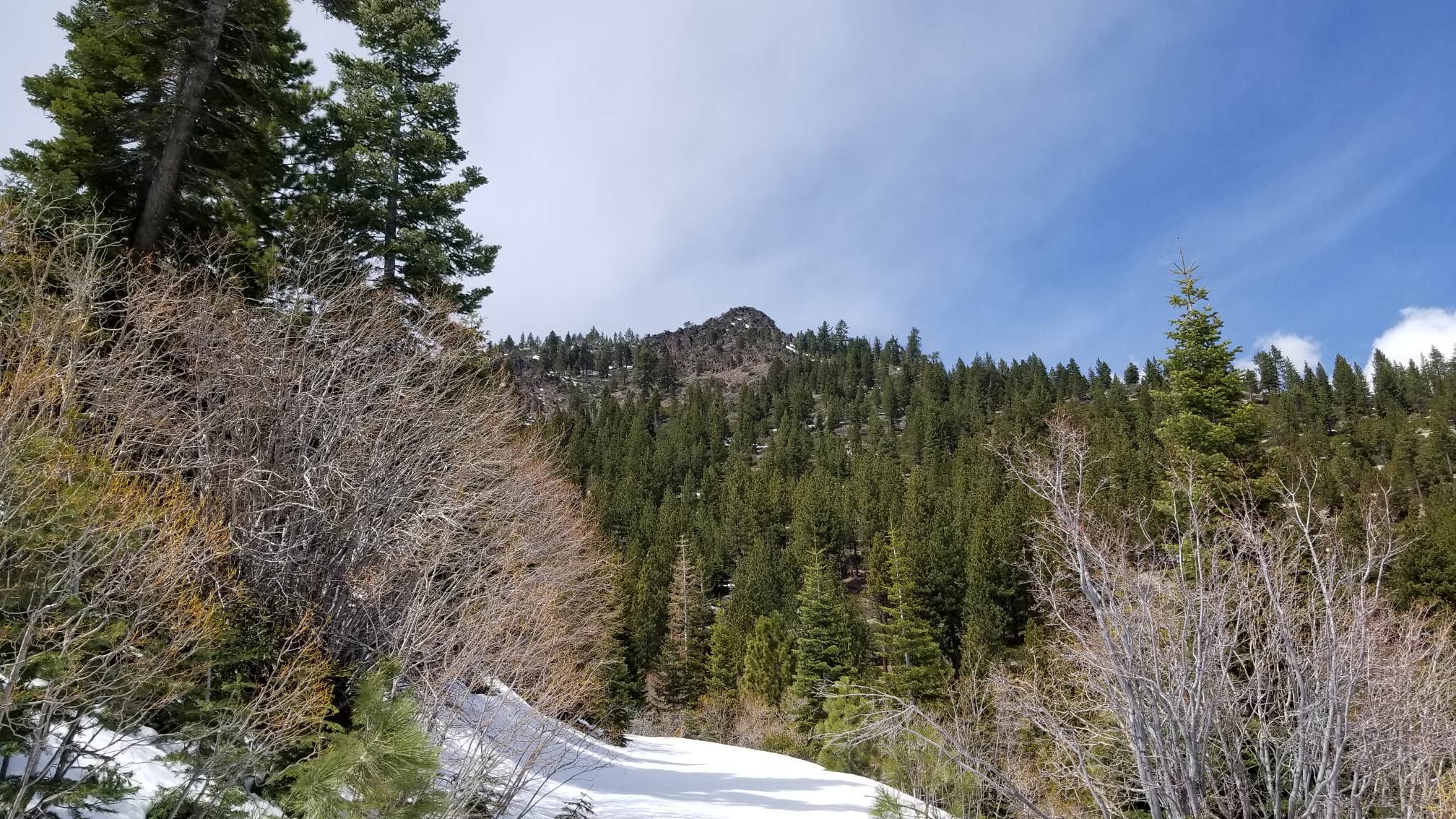 Camper-submitted photo at Big Dog Valley near Clio, CA