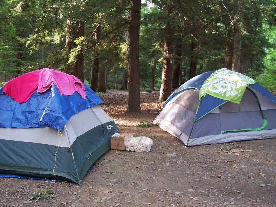 Rachel P.'s photo at Watkins Glen State Park Campground near Hector, NY